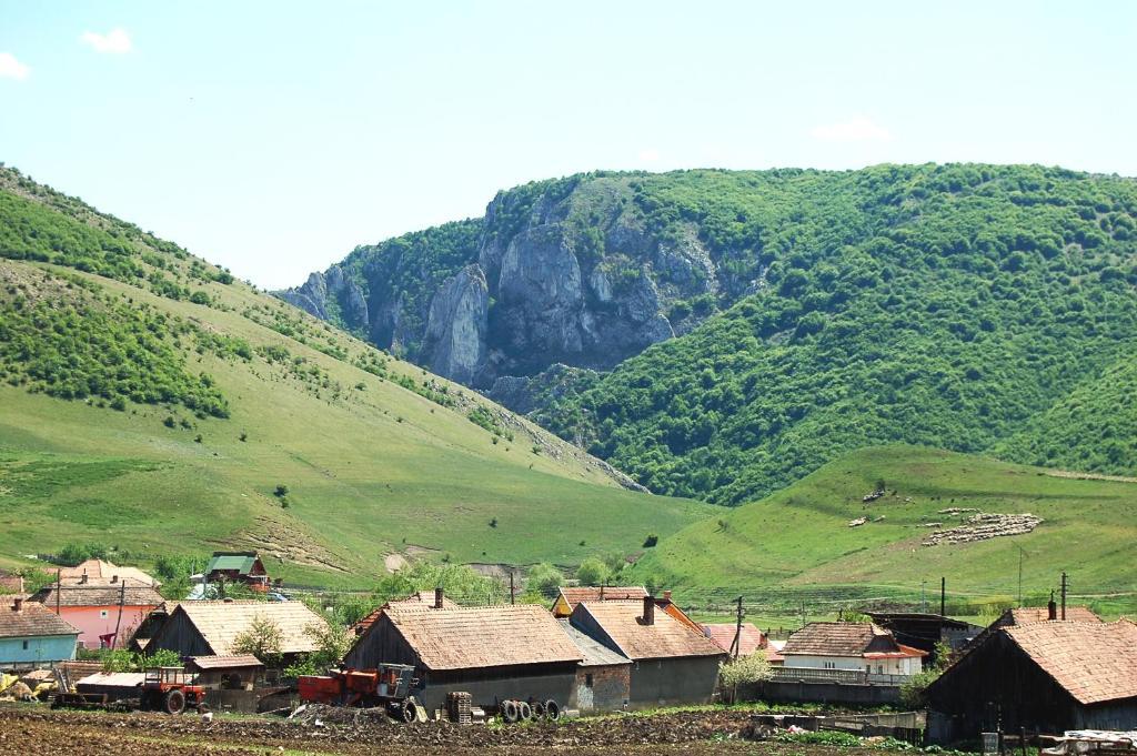 Pension Laura Cheile Turzii Petrestii de Jos Bagian luar foto